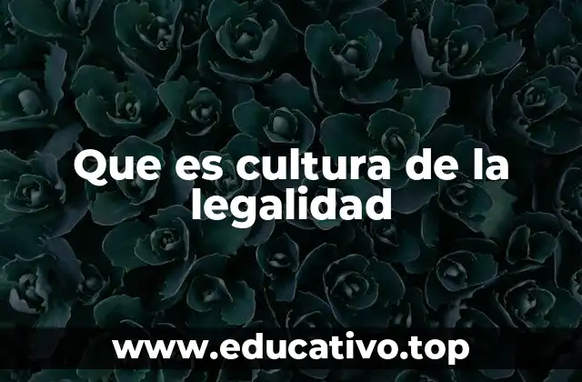 Que es cultura de la legalidad