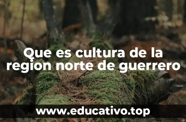 Que es cultura de la region norte de guerrero