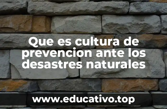 La importancia de la educación en la prevención de desastres