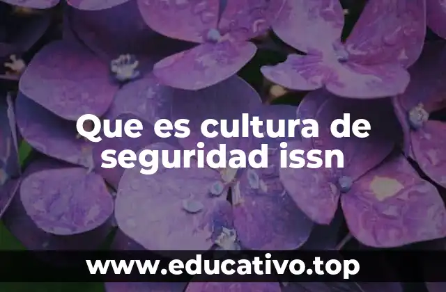 Que es cultura de seguridad issn