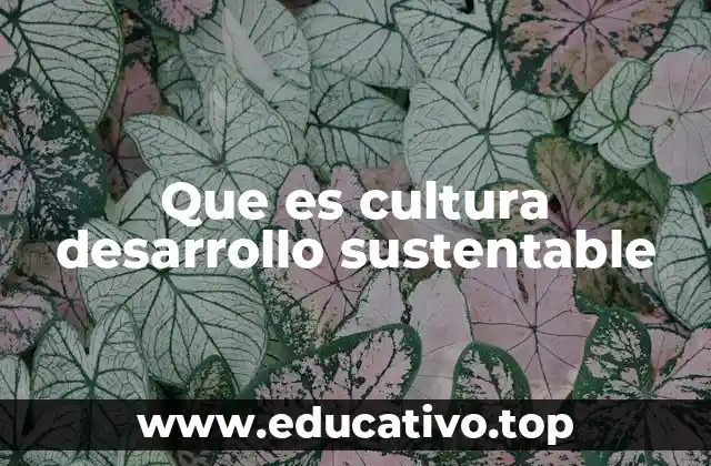 Que es cultura desarrollo sustentable