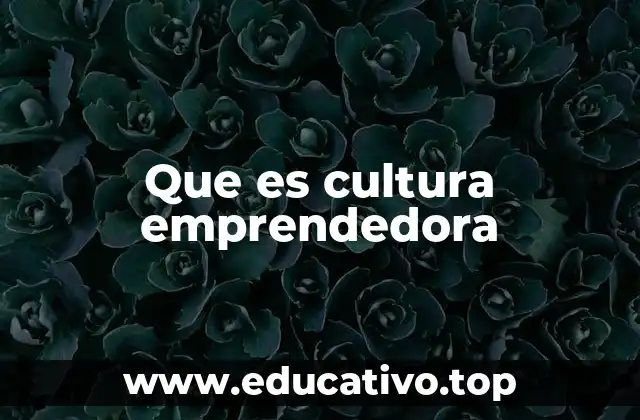 Que es cultura emprendedora