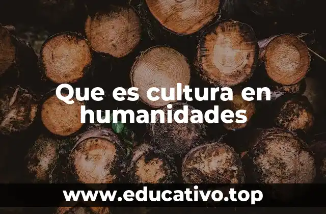 Que es cultura en humanidades