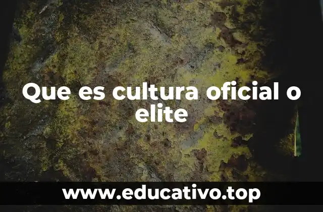 Que es cultura oficial o elite