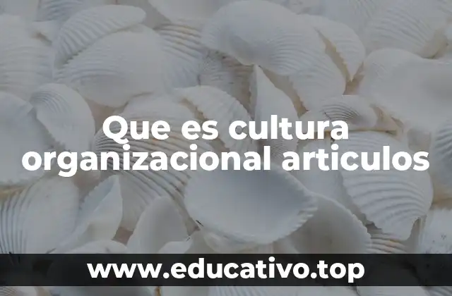 Que es cultura organizacional articulos