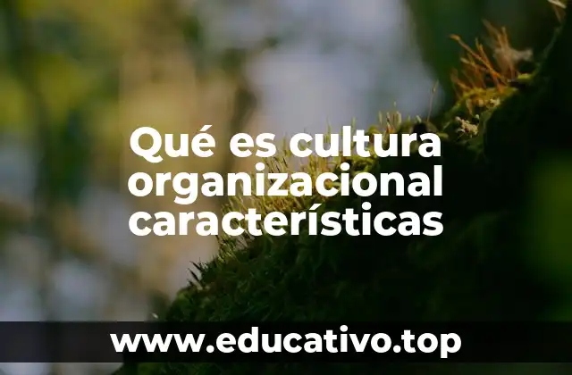 Qué es cultura organizacional características