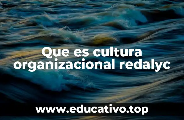 Que es cultura organizacional redalyc