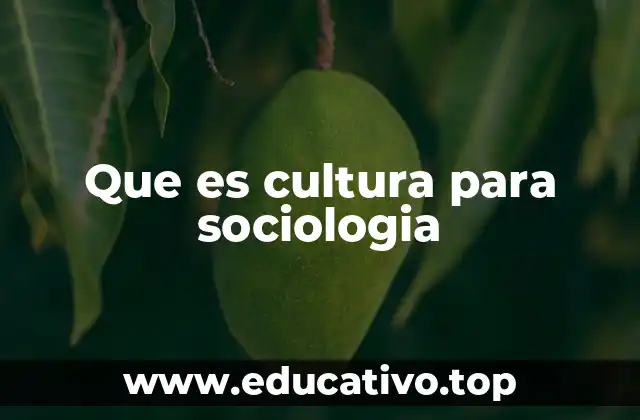 La cultura como sistema simbólico en la sociedad