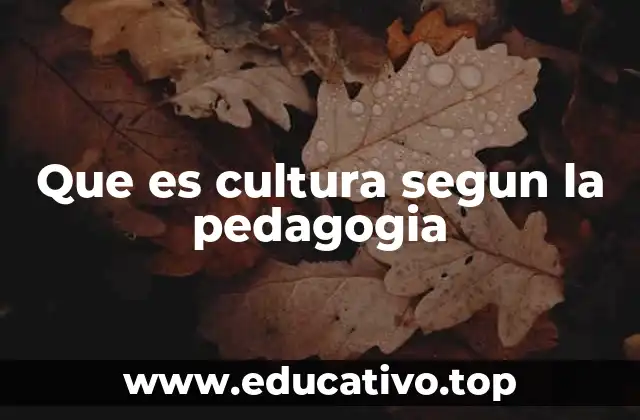 Que es cultura segun la pedagogia