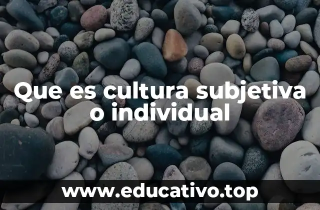 Que es cultura subjetiva o individual