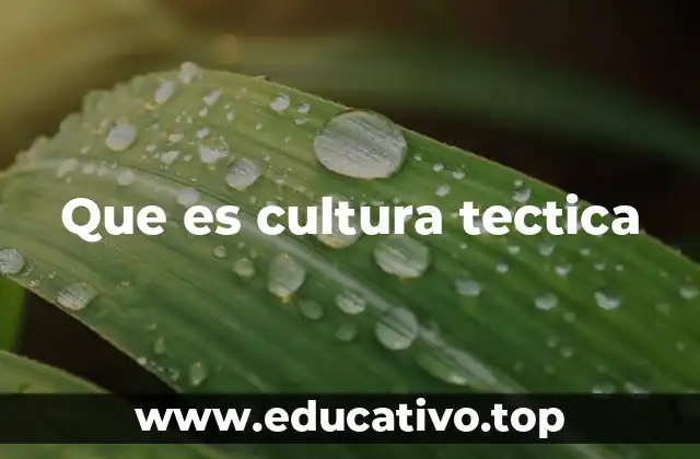 Que es cultura tectica