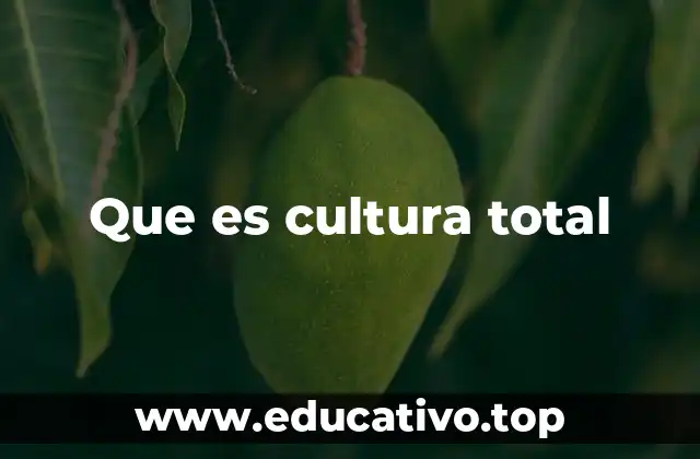 Que es cultura total