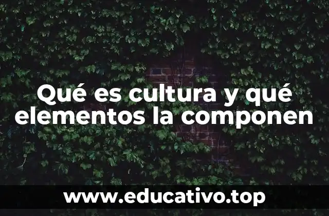 Qué es cultura y qué elementos la componen