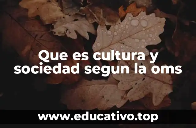 Que es cultura y sociedad segun la oms