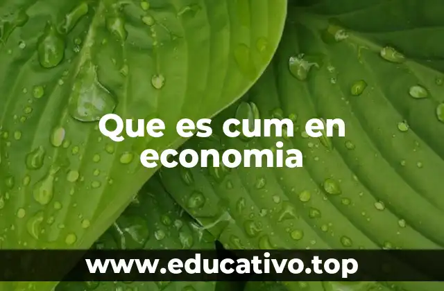 Que es cum en economia