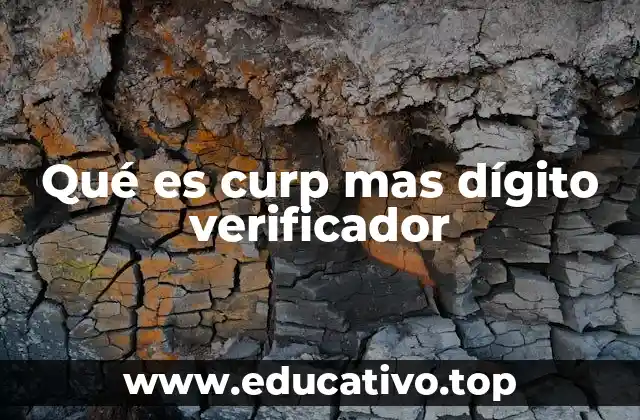 La importancia del dígito verificador en el CURP