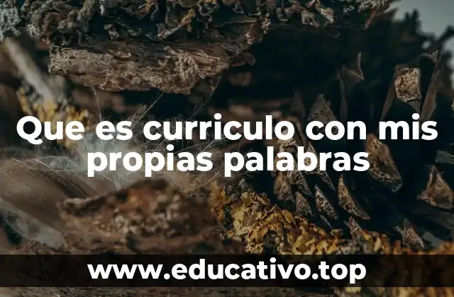 Que es curriculo con mis propias palabras