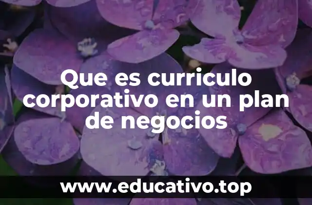 Que es curriculo corporativo en un plan de negocios
