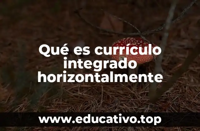 Qué es currículo integrado horizontalmente
