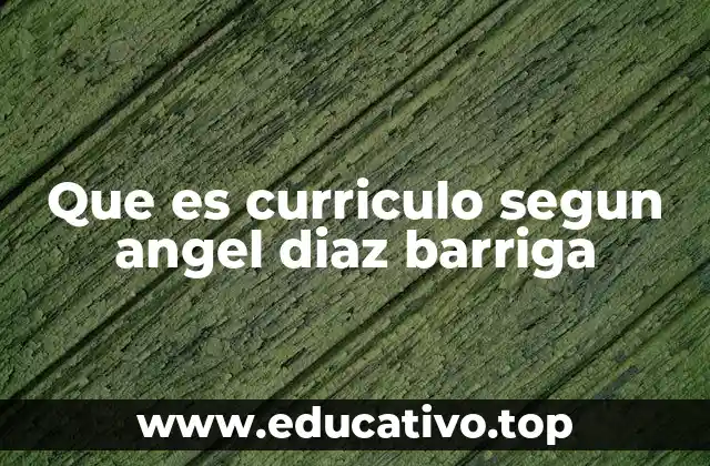 Que es curriculo segun angel diaz barriga