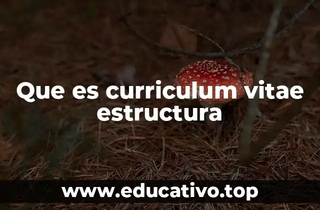 La importancia de una buena organización en el currículum