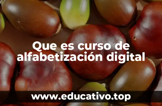 Que es curso de alfabetización digital