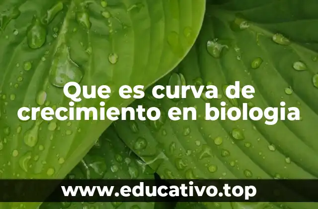 Modelos de crecimiento biológico y su importancia