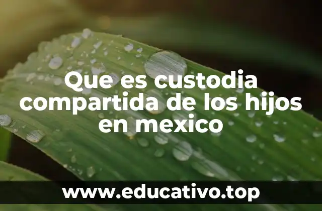 Que es custodia compartida de los hijos en mexico