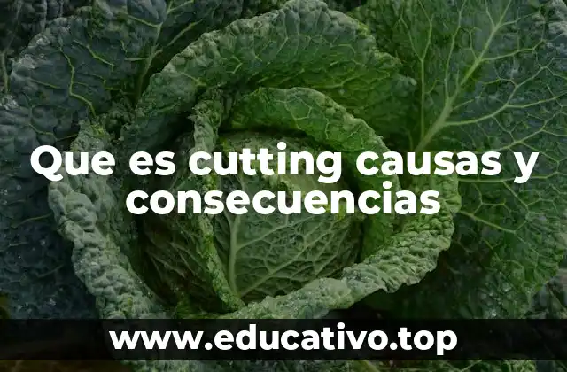 Que es cutting causas y consecuencias