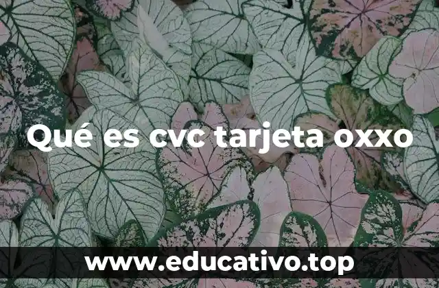 Qué es cvc tarjeta oxxo