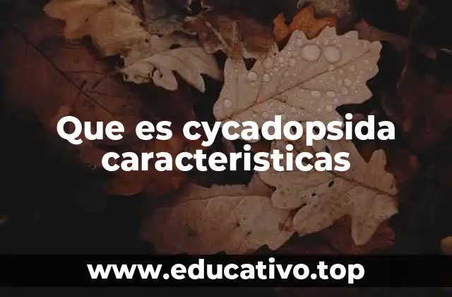 Que es cycadopsida caracteristicas