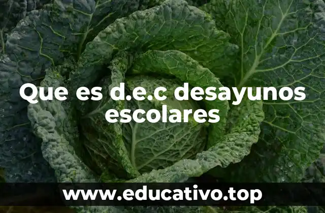 Que es d.e.c desayunos escolares