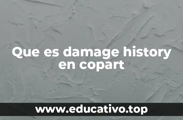 Que es damage history en copart