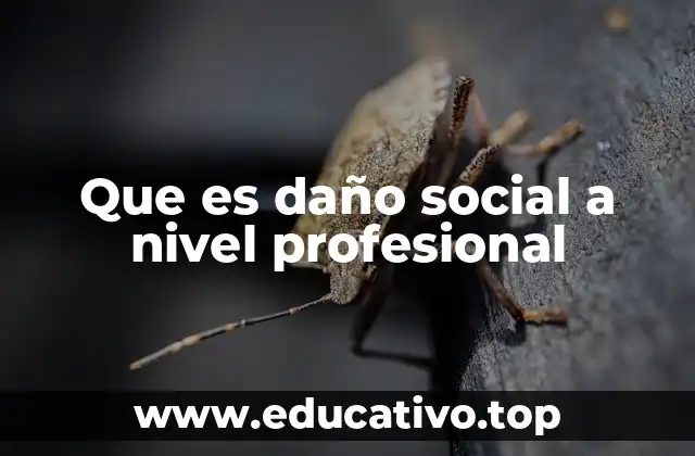 Que es daño social a nivel profesional