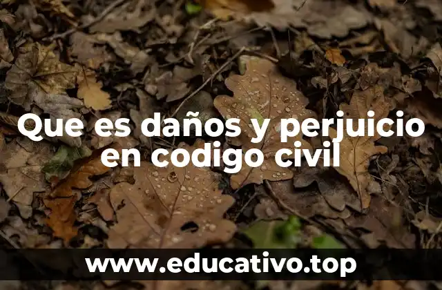 Que es daños y perjuicio en codigo civil