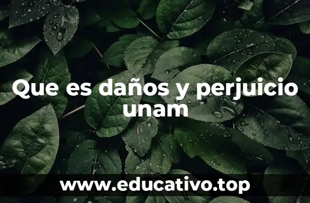 Que es daños y perjuicio unam