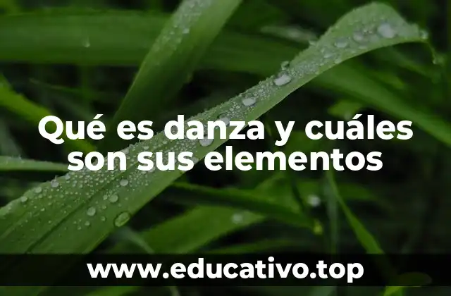 Qué es danza y cuáles son sus elementos