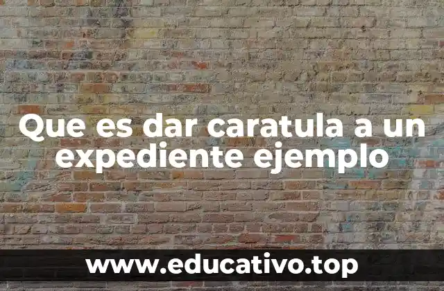 Que es dar caratula a un expediente ejemplo