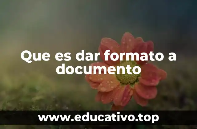 Que es dar formato a documento