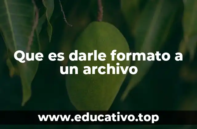 Que es darle formato a un archivo