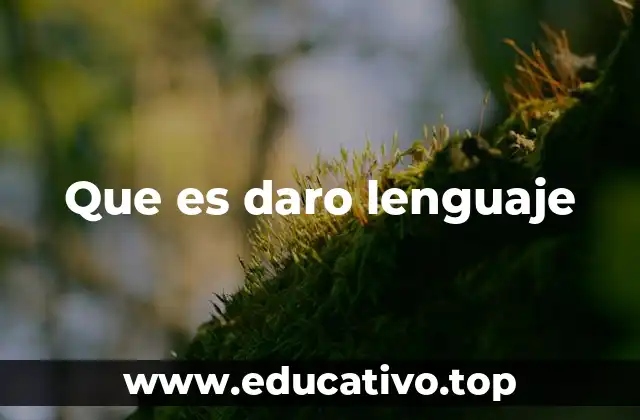 Que es daro lenguaje