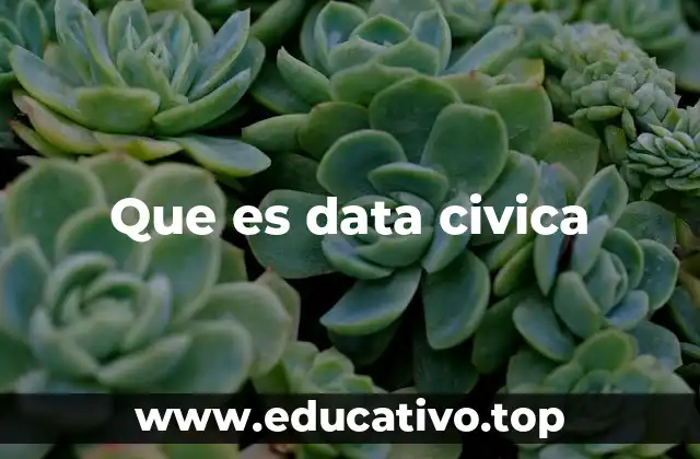 Que es data civica