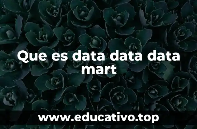 Que es data data data mart