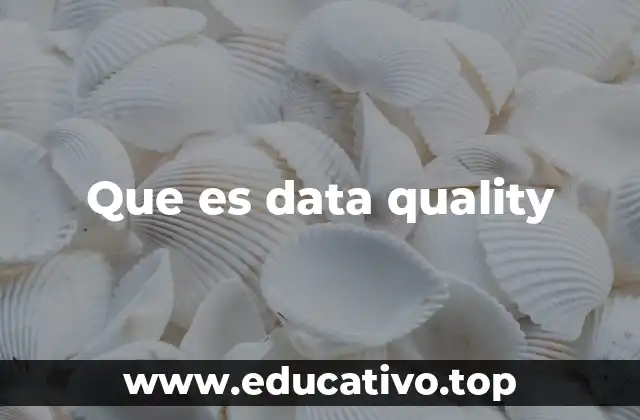 Que es data quality