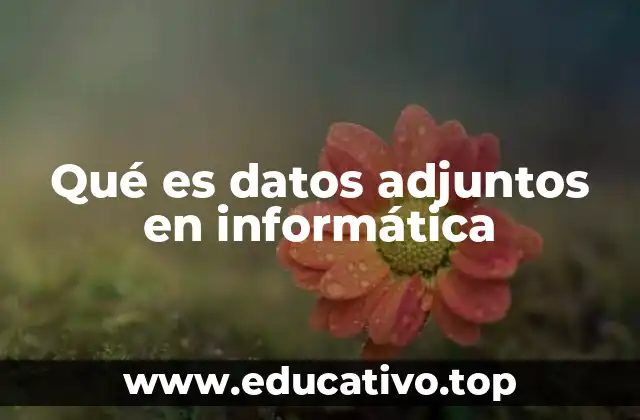 Qué es datos adjuntos en informática