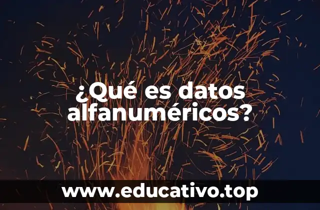 ¿Qué es datos alfanuméricos?