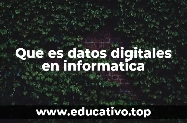 Que es datos digitales en informatica