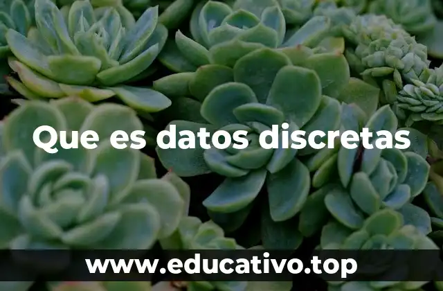 Que es datos discretas
