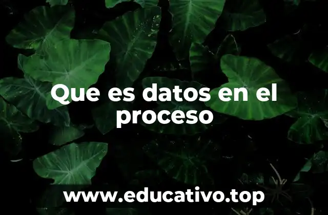 Que es datos en el proceso