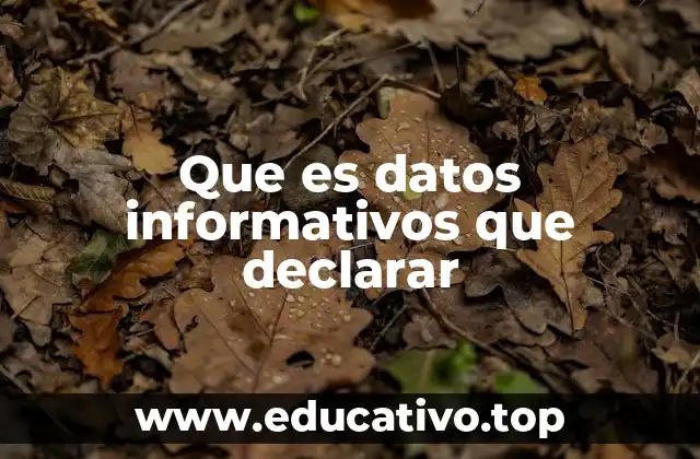 Que es datos informativos que declarar